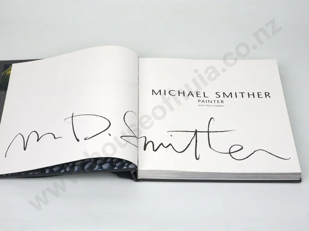 Gribben, Trish; Michael Smither - Painter Image 1++