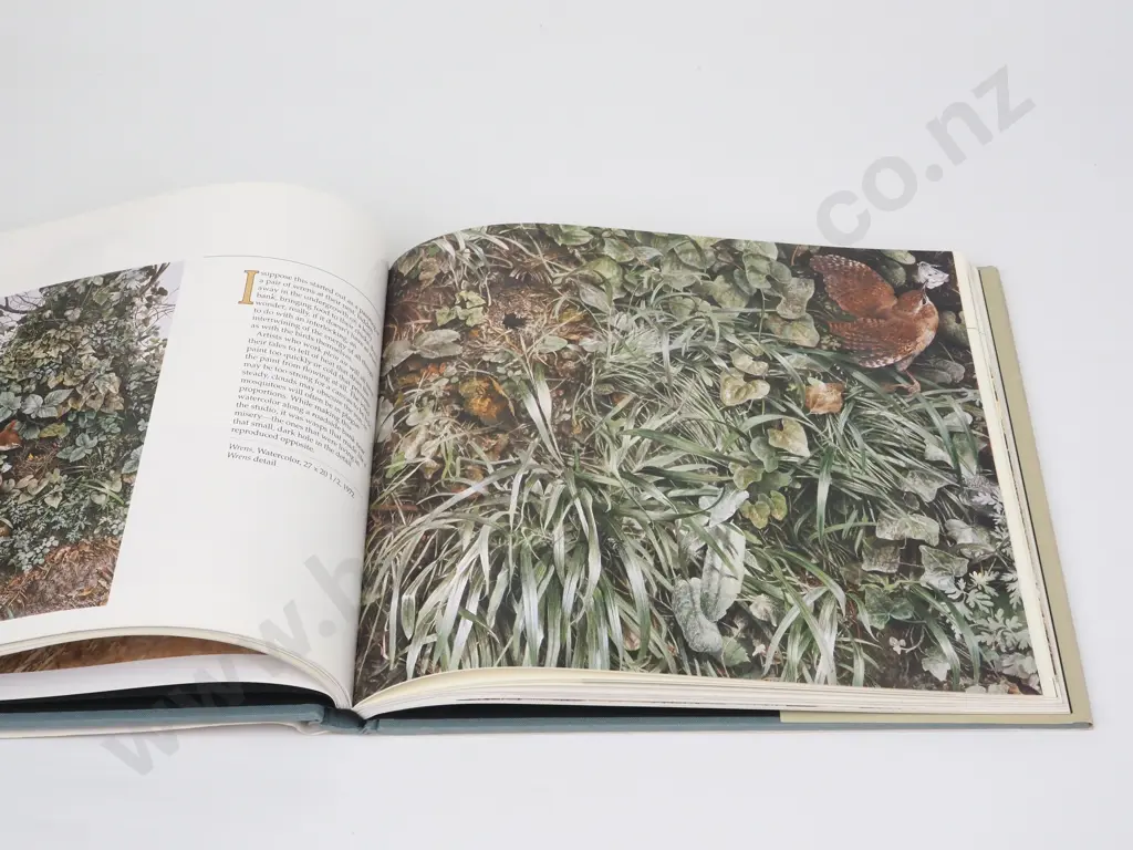 Ching, Ray Harris - Masters Of The Wild. Text By Carol Sinclair Smith Image 1++
