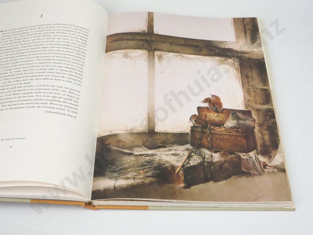 Raymond Ching, The Bird Paintings. Watercolours & Pencil Drawings, 1969-1975 (Second Edition) Image 1++