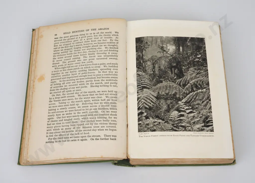 F. W. Up De Graff, Head Hunters of the Amazon, Herbert Jenkins Ltd., 1923 Image 1++