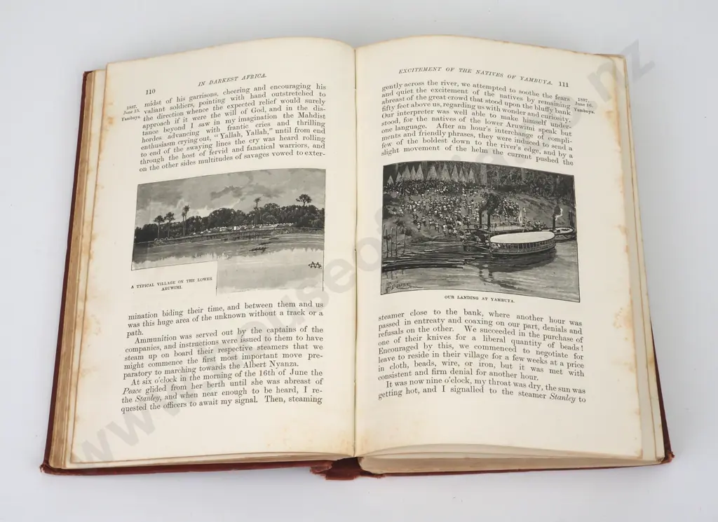 In Darkest Africa, Henry Stanley, Sampson Low, London 1890, 2 Vols. First Edition  Image 1++