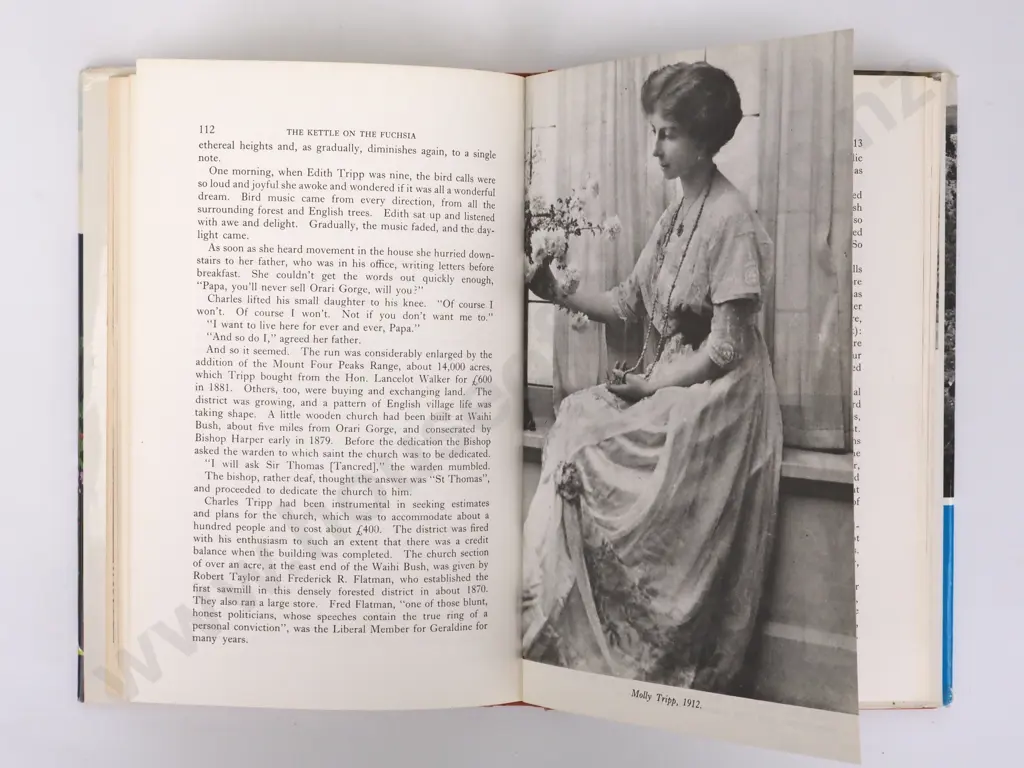 Harper, Barbara; The Kettle on the Fuchsia Image 1++
