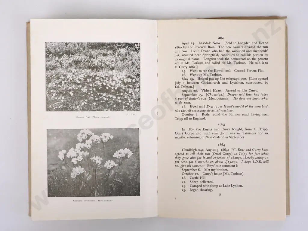 Richards, E.C.; Castle Hill Image 1++