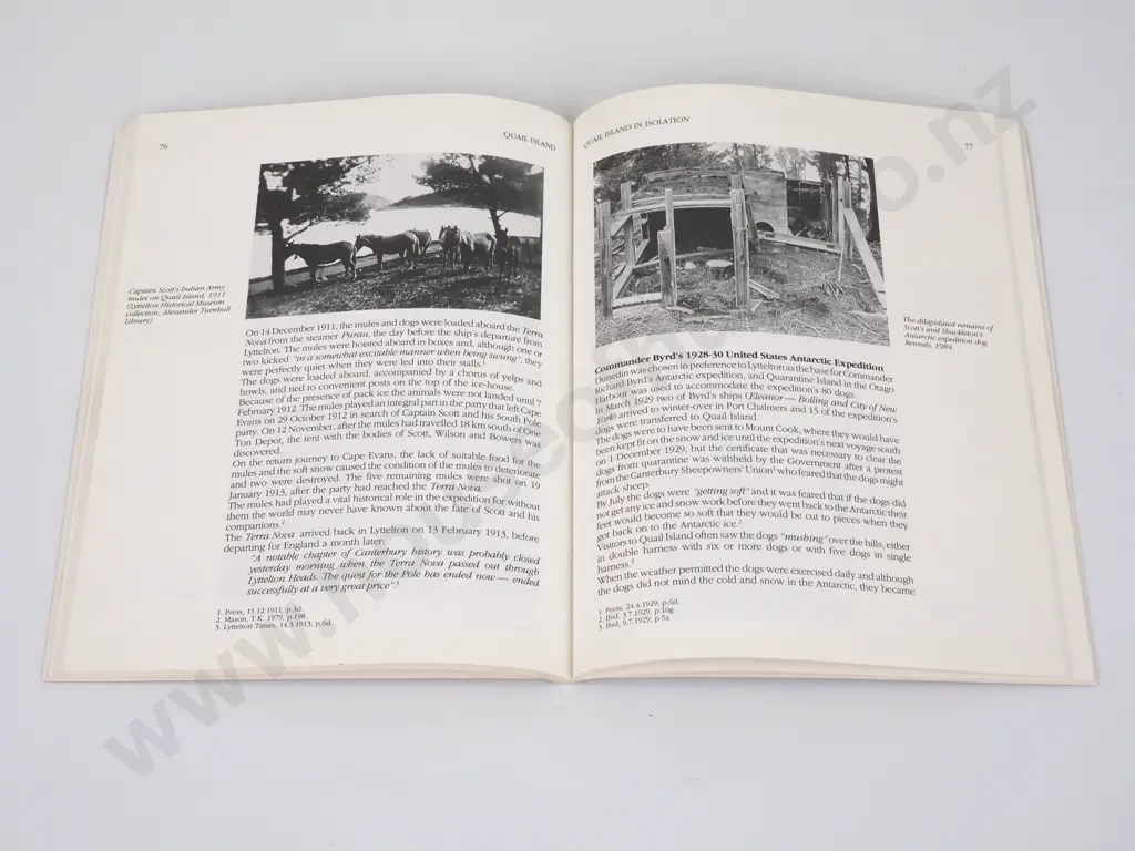 Jackson, Peter; Quail Island - A Link with the Past Image 1++