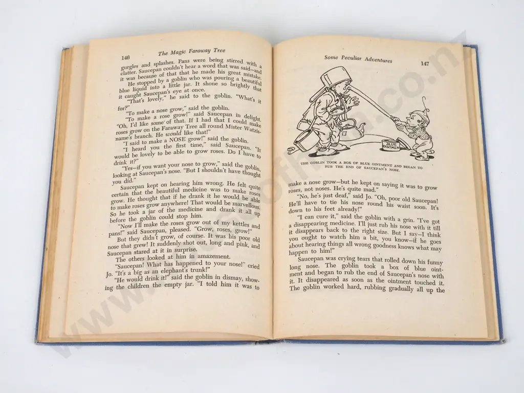 Blyton, Enid; The Magic Faraway Tree Image 1++