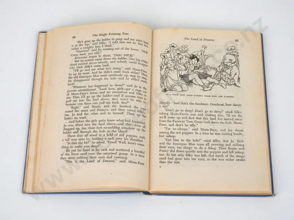 Blyton, Enid; The Magic Faraway Tree Image 1++