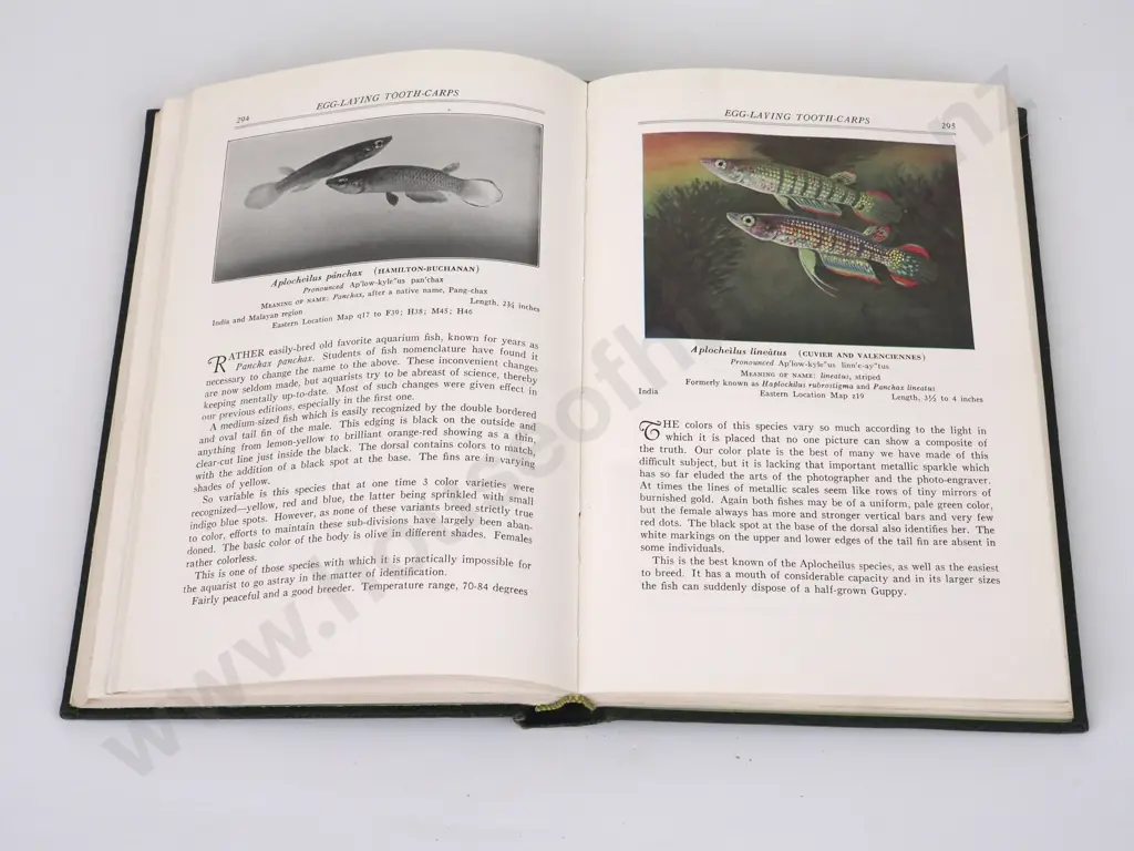 Innes, William T.; Exotic Aquarium Fishes; Innes Publishing Company, 1946. Image 1++