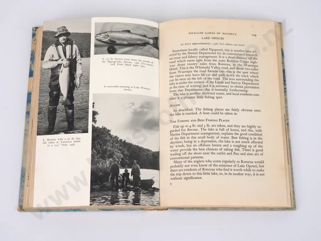 Gee, Frank; Rotorua Trout Image 1++