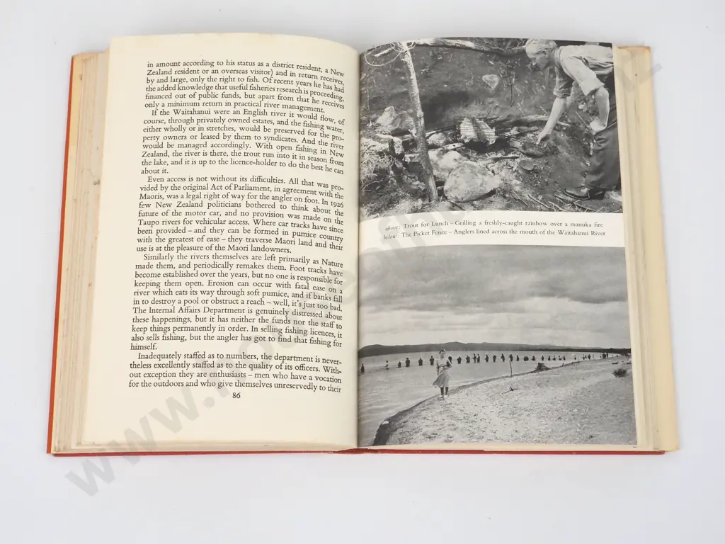 Hintz, O.S.; Trout at Taupo Image 1++