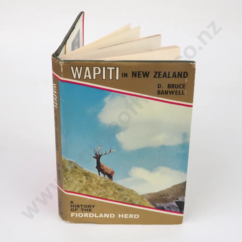 Banwell, D. Bruce; Wapiti in New Zealand Image 1++
