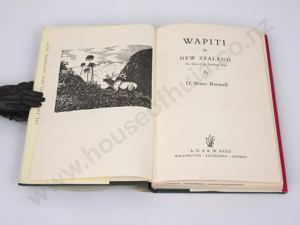 Banwell, D. Bruce; Wapiti in New Zealand Image 1++