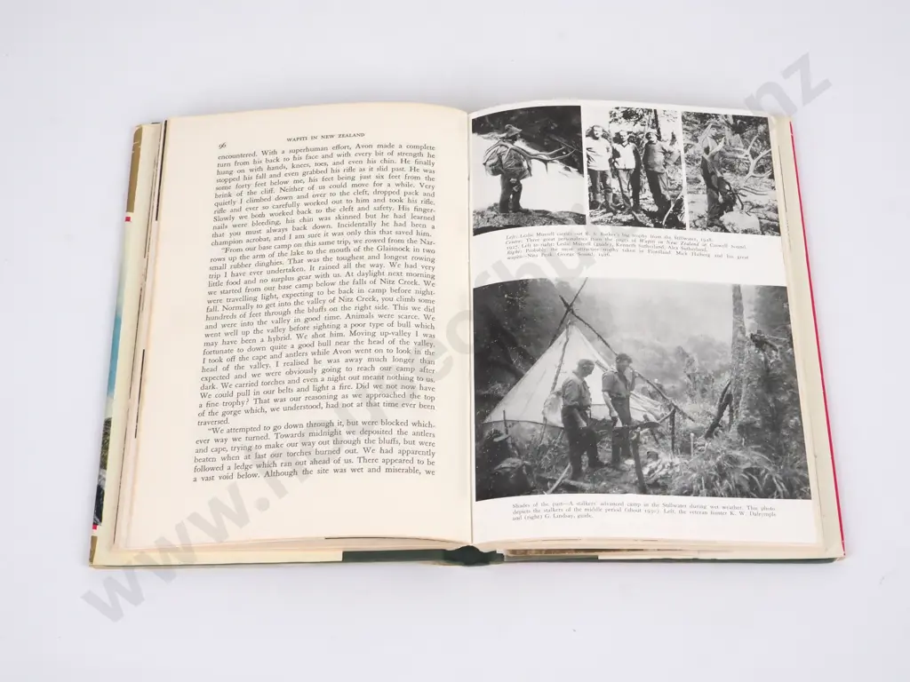 Wapiti in New Zealand : history of the Fiordland Herd - D. Bruce Banwell. Printed By Halstead Press, Sydney Image 1++