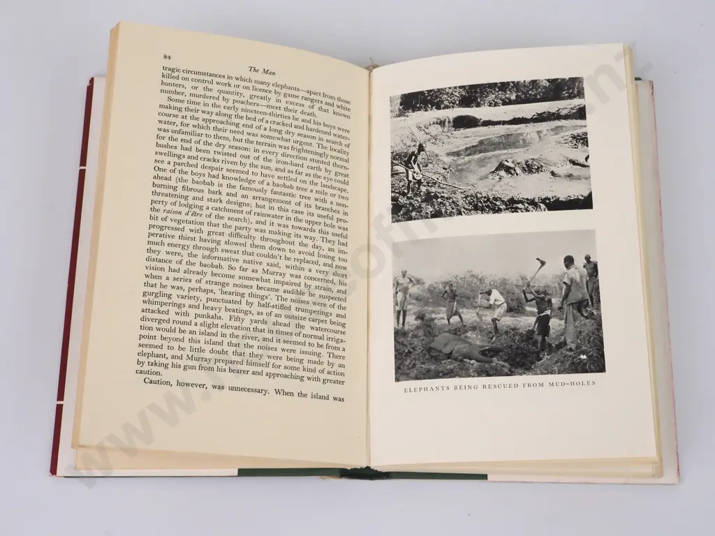 Wykes, Alan; Nimrod Smith Image 1++