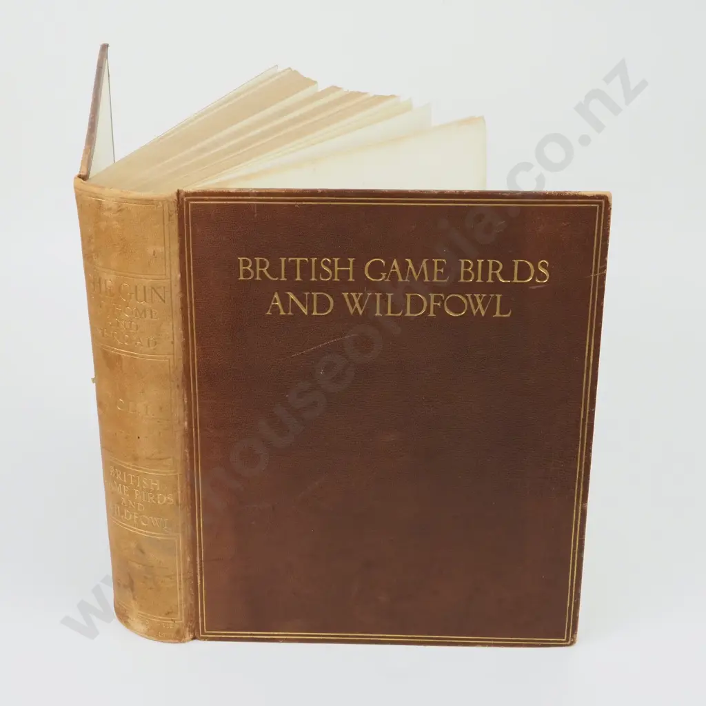 The Gun at Home and Abroad: British Game Birds and Wildfowl. Volume 1 Image 1++