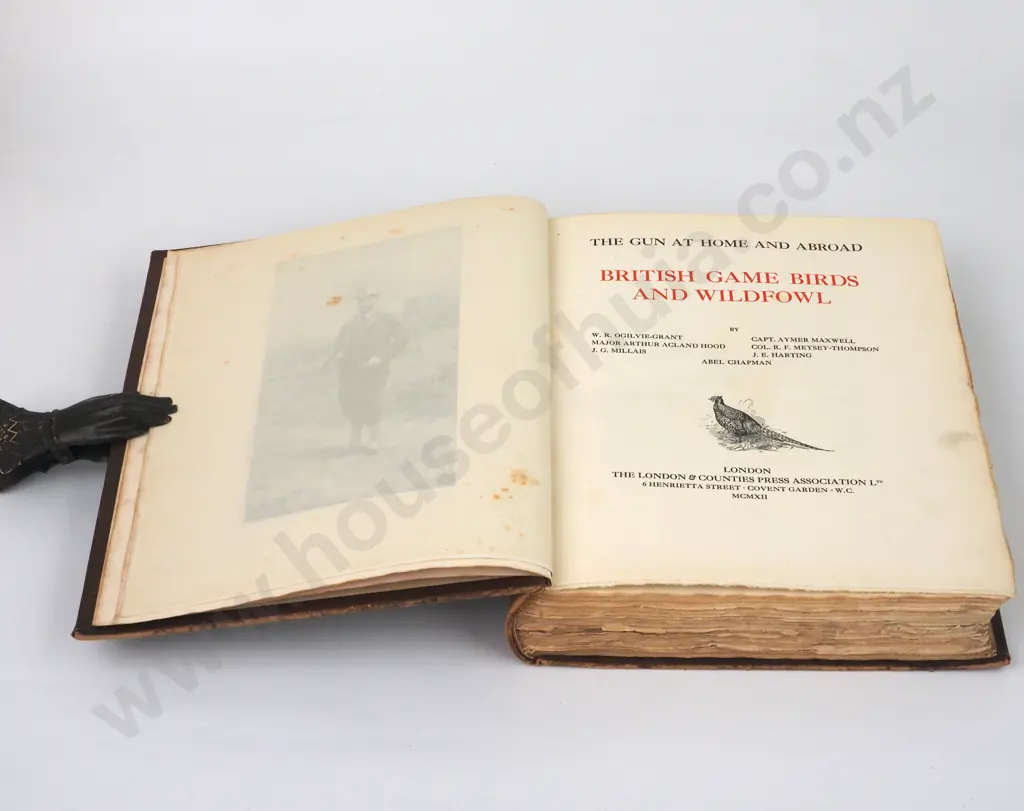 The Gun at Home and Abroad: British Game Birds and Wildfowl. Volume 1 Image 1++