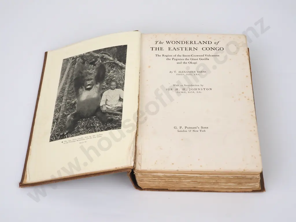 T. Alexander Barns, Wonderland of Eastern Congo, Putnam's Sons, 1st Edition, 1922 Image 1++