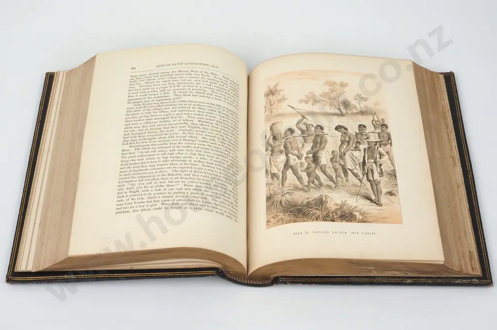 The Life & Exploration of Dr Livingstone- The Great Missionary Traveller Image 1++