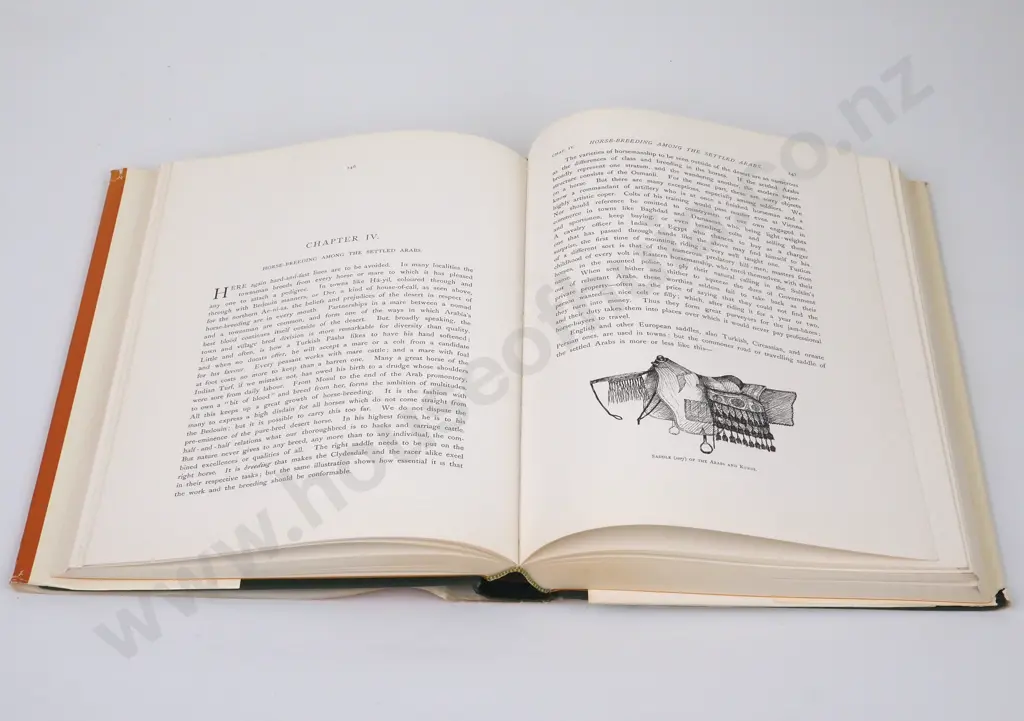 Tweedie, Major Gen W.; The Arabian Horse Image 1++
