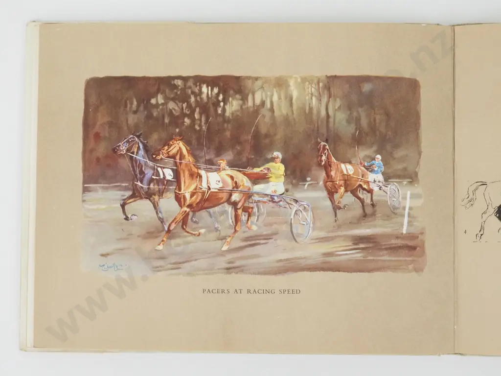 Wynmalen, Henry; The Horse in Action Image 1++