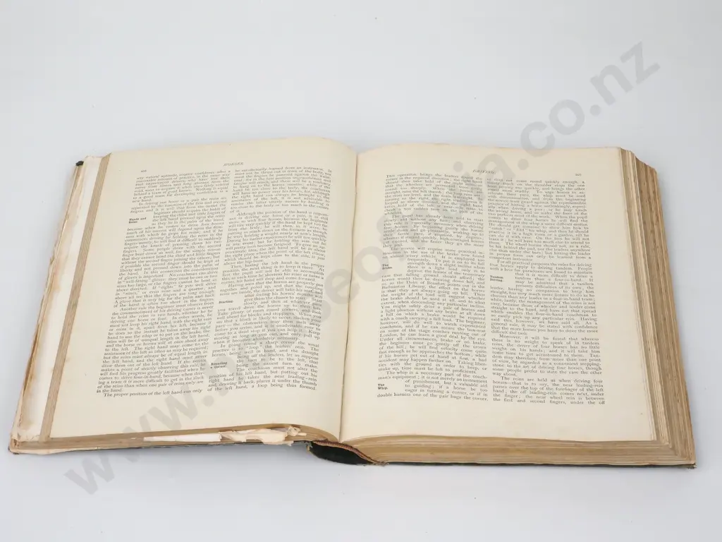 Book; Live Stock in Health and Disease. Cassell & Co Ltd  Circa 1917 Image 1++