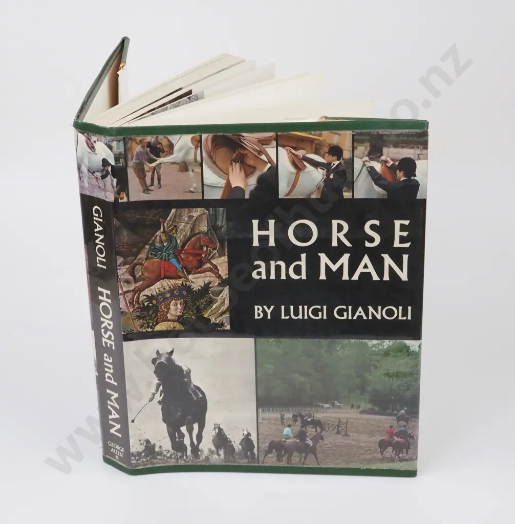 Gianoli, Luigi; Horse and Man Image 1++