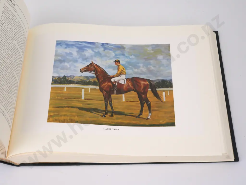 Notable New Zealand Thoroughbreds Image 1++
