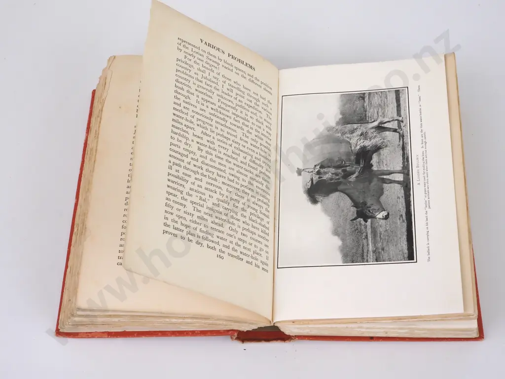 I. N. Dracopolio, Through Jubaland to the Lorian Swamp, Seeley, Service & Co., 1914 Image 1++