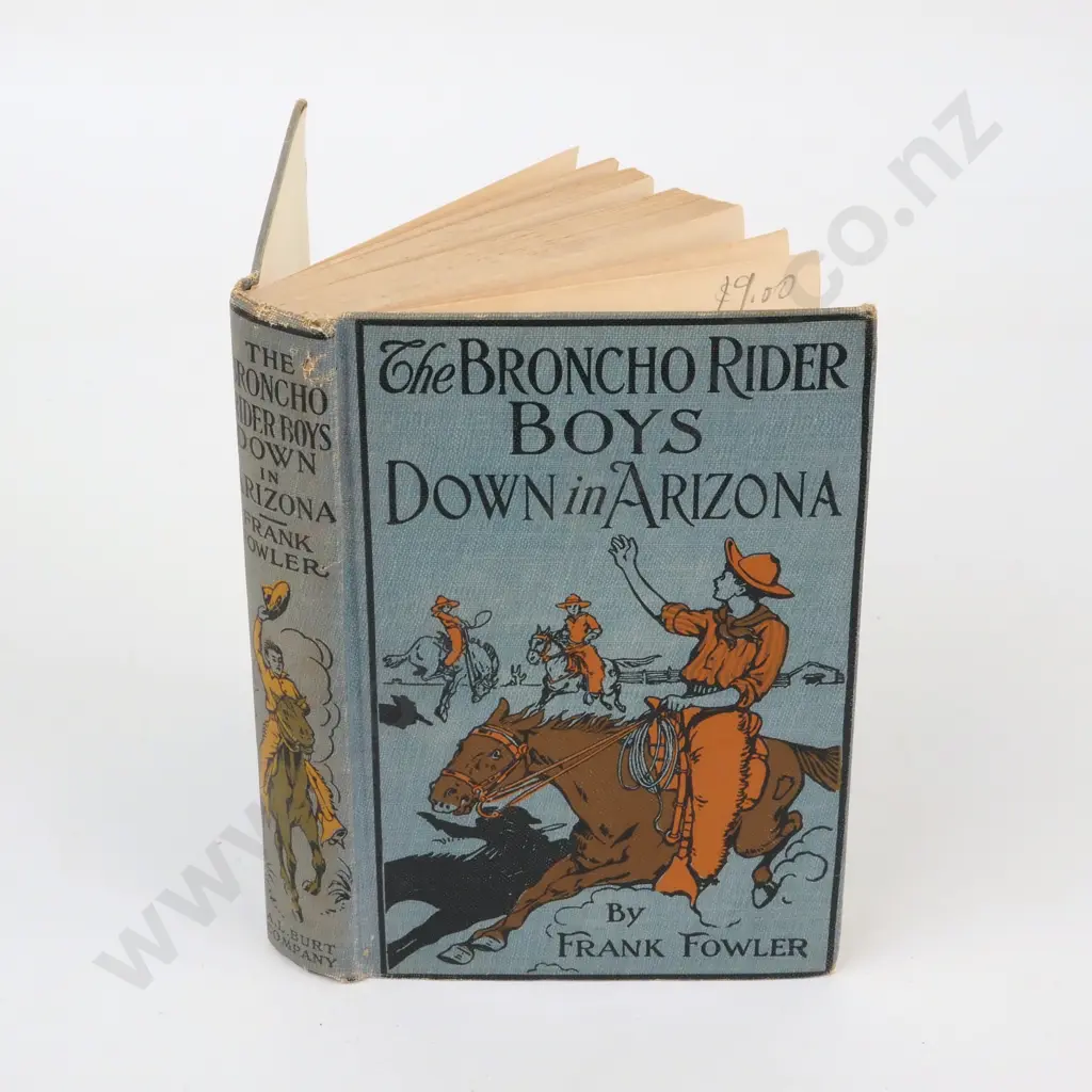 Fowler, Frank; The Broncho Rider Boys Down in Arizona Image 1++