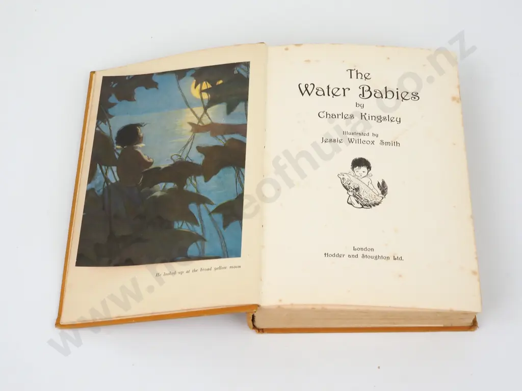 Kingsley, Charles; The Water Babies Image 1++