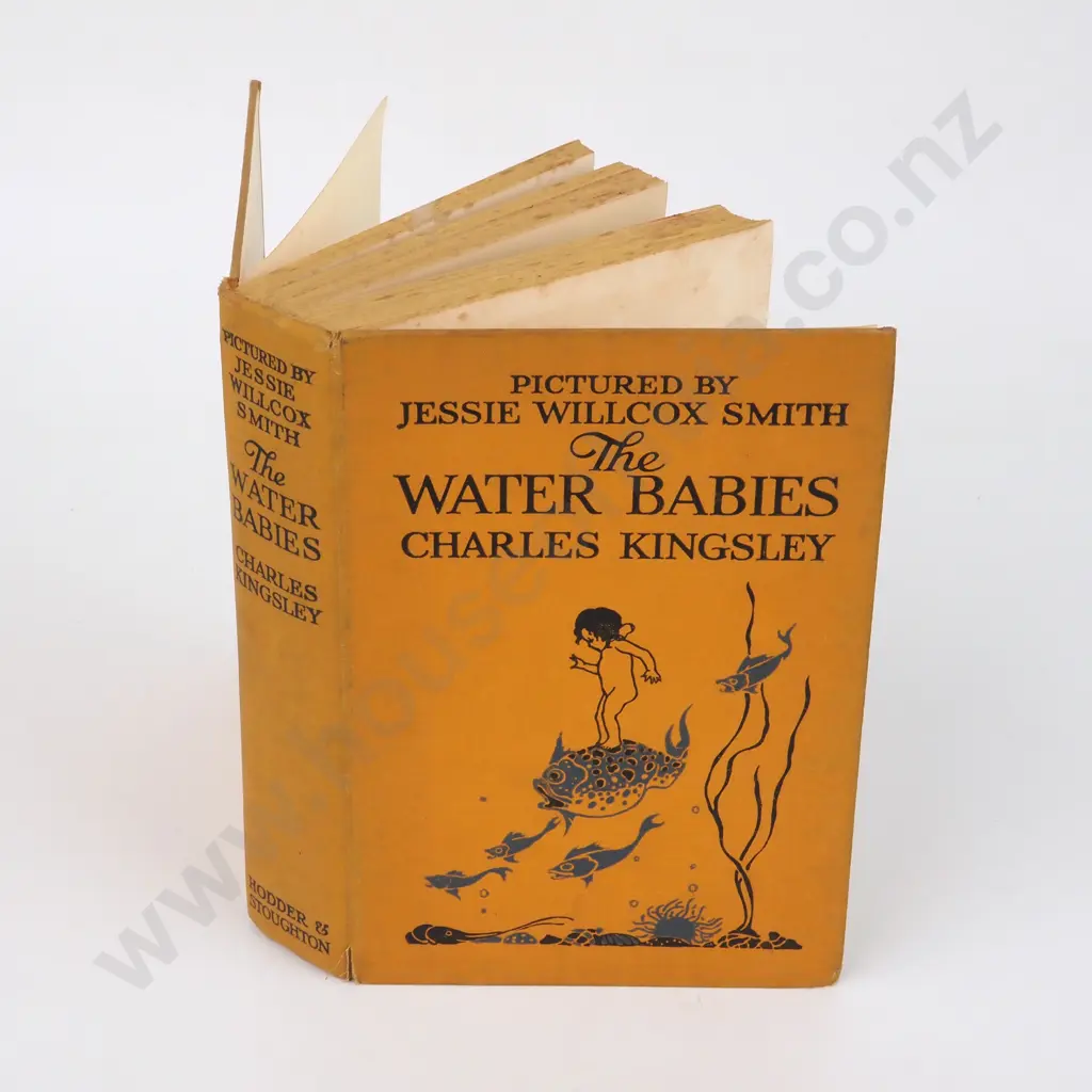 Kingsley, Charles; The Water Babies Image 1++