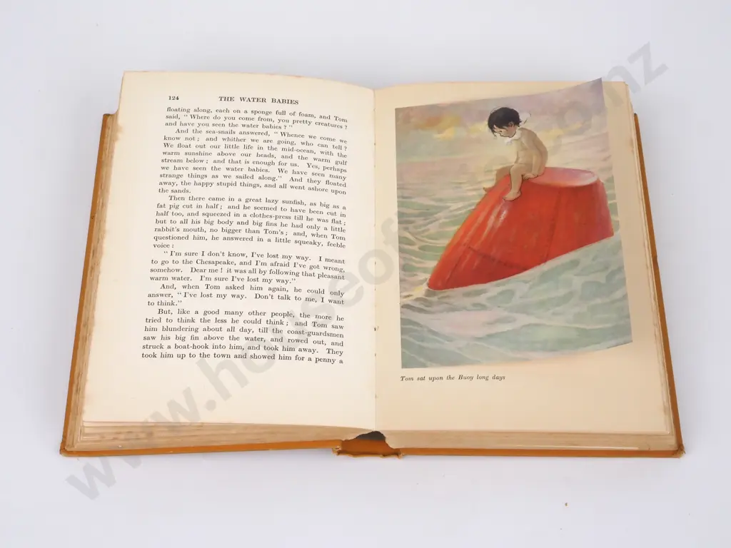 Kingsley, Charles; The Water Babies Image 1++