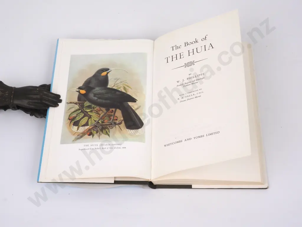 Phillipps, W.J.; The Book of the Huia Image 1++