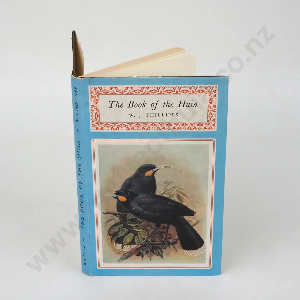 Phillipps, W.J.; The Book of the Huia Image 1++
