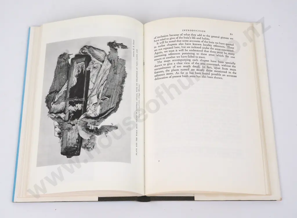 Phillipps, W.J.; The Book of the Huia Image 1++