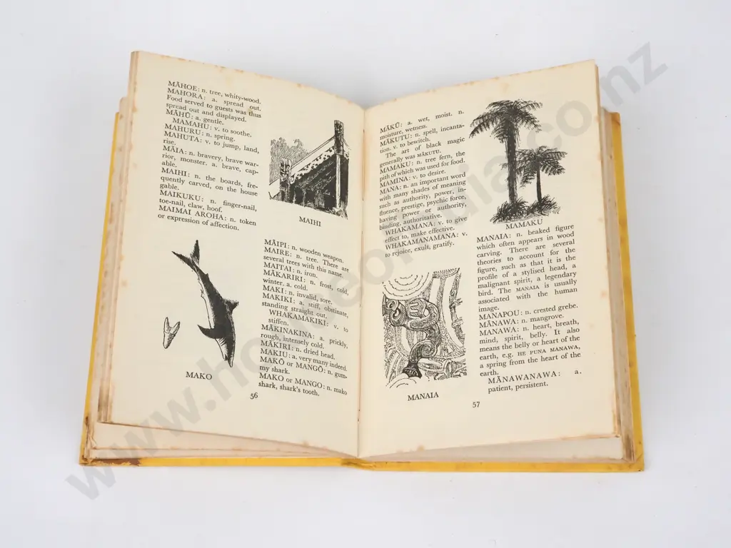 A. W. Reed, Maori Picture Dictionary; Illustrated by Roger Hart, A. H & A. W. Reed, 1965. Image 1++