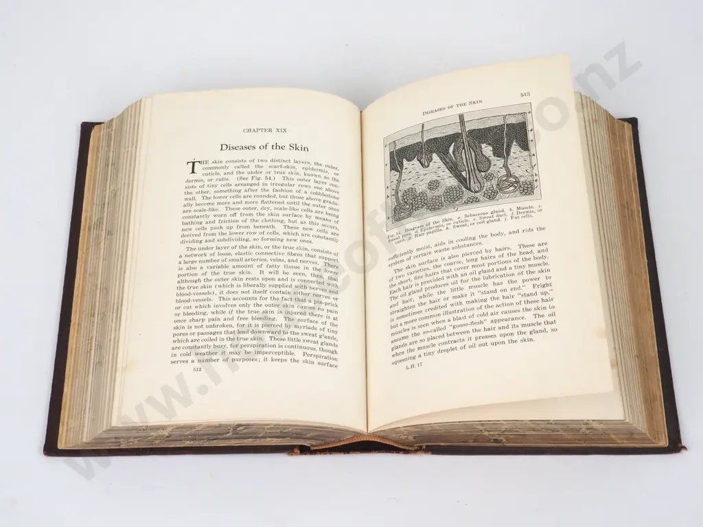 Vintage Ladies Handbook of Home Treatment Eulalia S. Richards Hardcover 1939 Image 1++