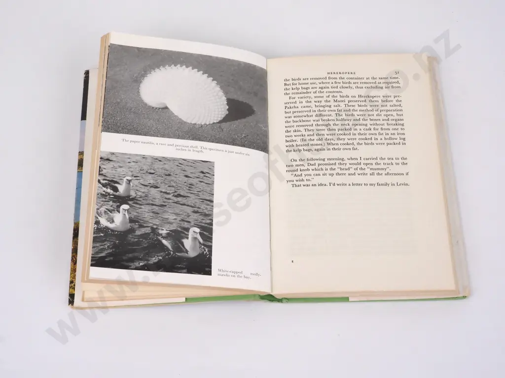 Dempsey, Gertrude - The Little World of Stewart Island, A.H. & A.W. Reed, 1964, First Edition Image 1++