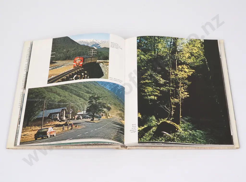 Temple, Philip - Mantle of the Skies, Whitcomb & Tombs, 1973, Reprint. Image 1++