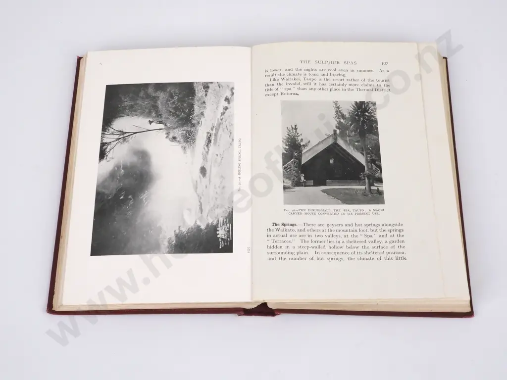Arthur Stanley Herbert, The Hot Springs of New Zealand, Lewis & Co Ltd, 1921, First Edition Image 1++
