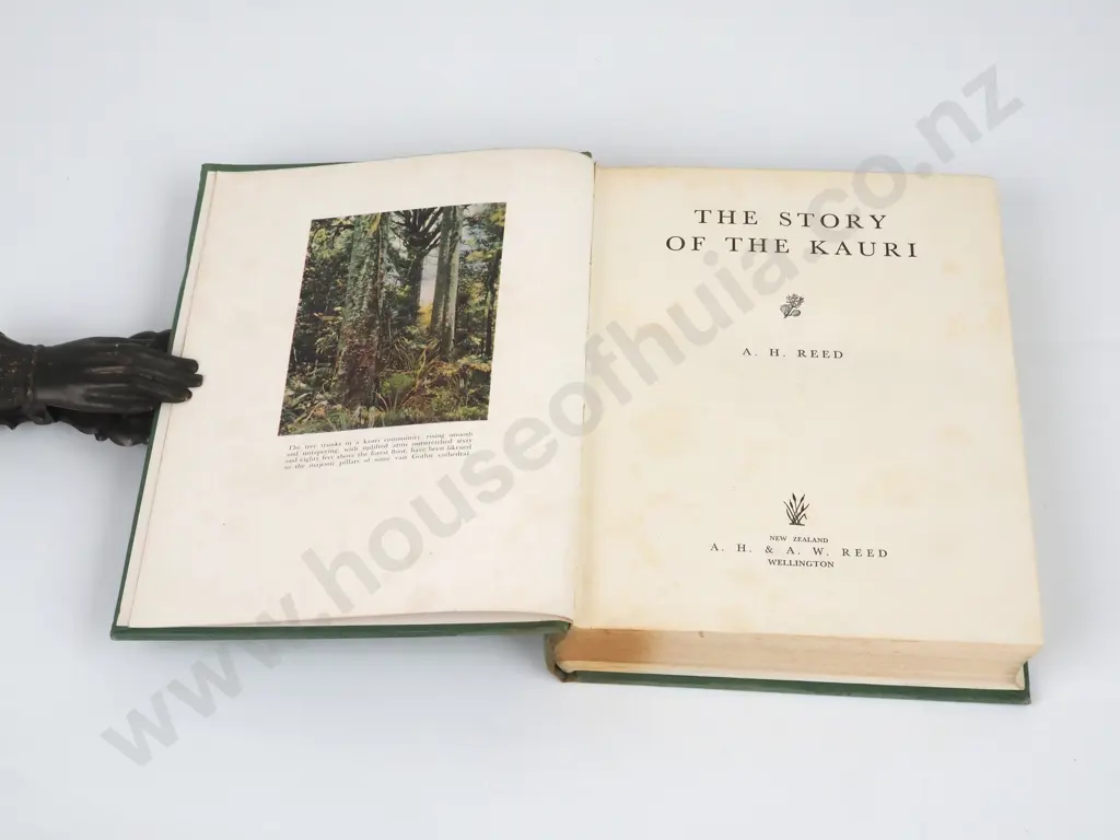 A. H. Reed,  Story of The kauri, A. H. & A. W. Reed, 1953. Image 1++