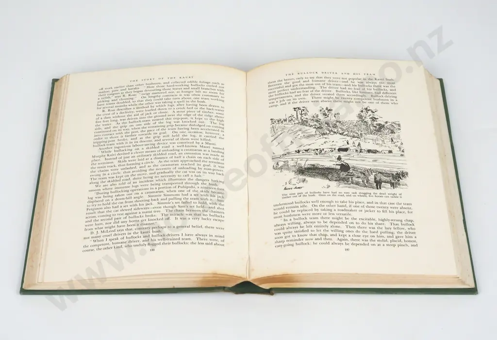 A. H. Reed,  Story of The kauri, A. H. & A. W. Reed, 1953. Image 1++