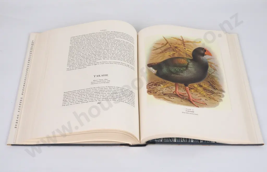 Buller's Birds of New Zealand Image 1++