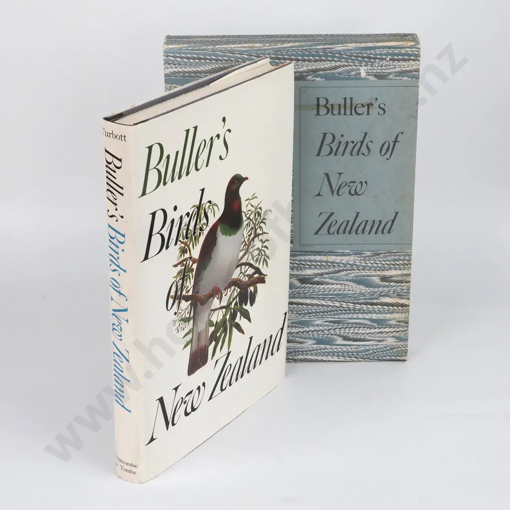 Buller's Birds of New Zealand Image 1++