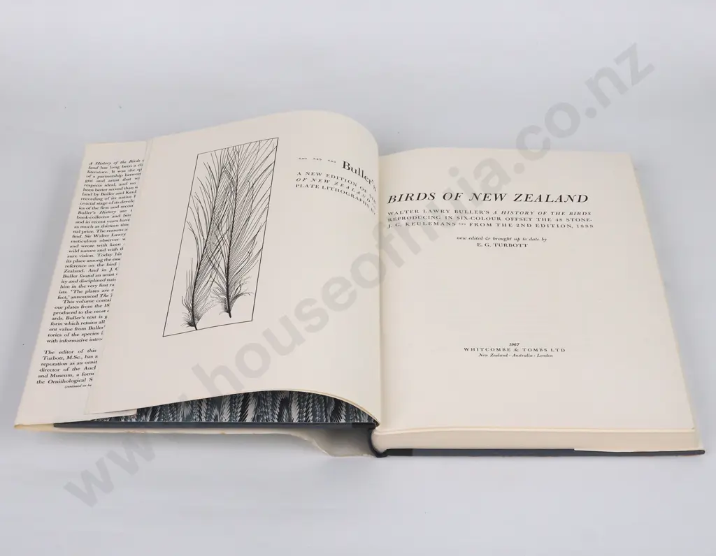 Buller's Birds of New Zealand Image 1++