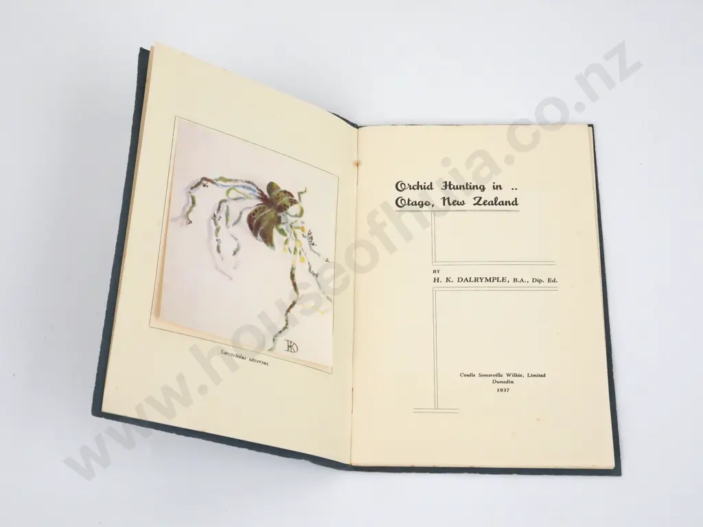 Dalrymple, H.K.; Orchid Hunting In Otago, New Zealand; Coulls Somerville Wilkie, 1937 Image 1++