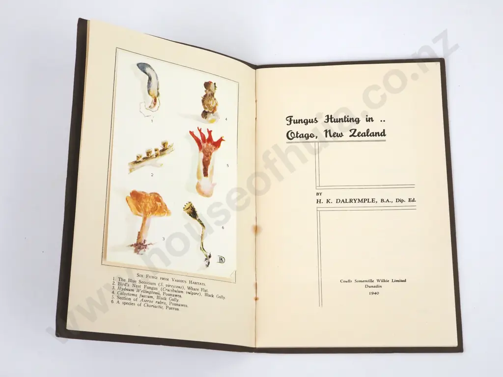 Dalrymple, H.K.; Fungus Hunting in Otago, New Zealand;Coulls Somerville Wilkie, 1940. Image 1++