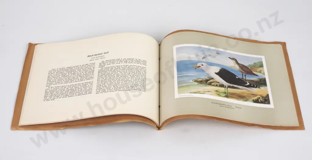 Forest and Bird Society of NZ - New Zealand Sea and Shore Birds, Second Edition, 1953. Image 1++