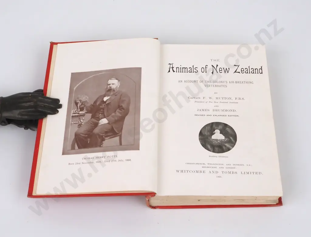 Hutton, Capt. F.W. & James Drummond; Animals of New Zealand Image 1++
