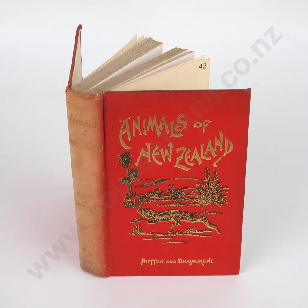 Hutton, Capt. F.W. & James Drummond; Animals of New Zealand Image 1++