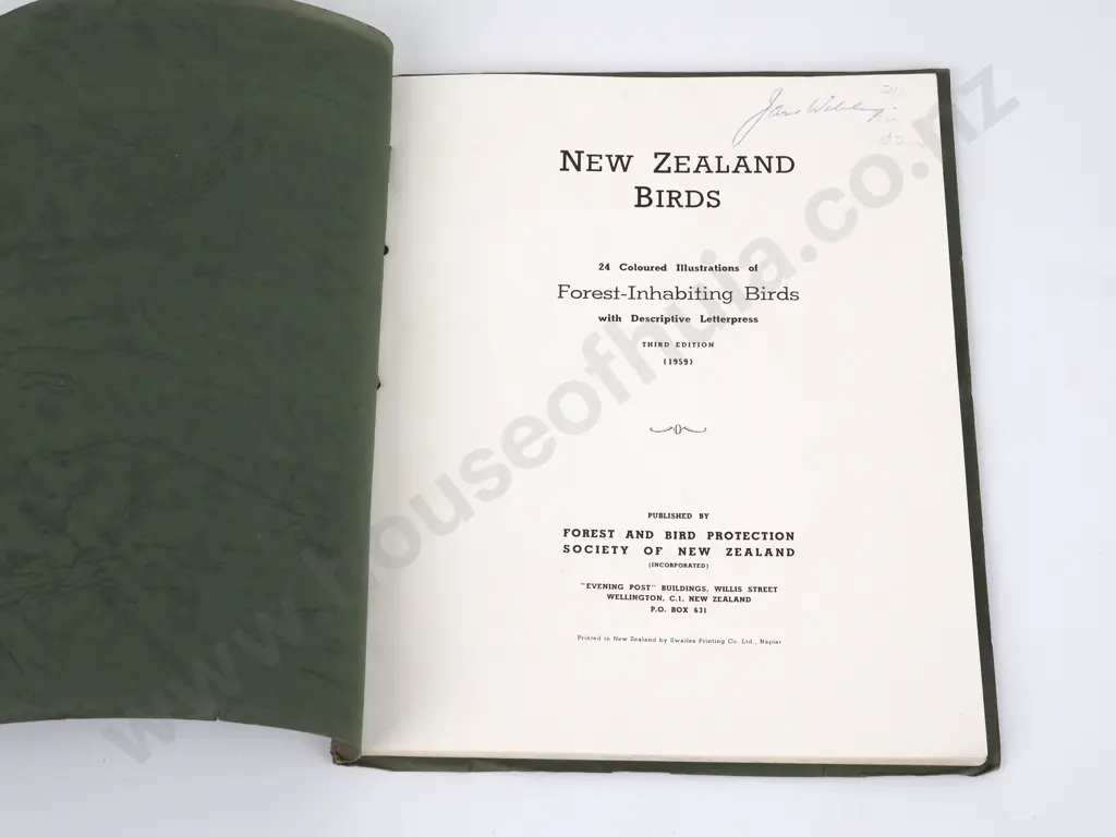 New Zealand Birds - Forest-Inhabiting Birds Image 1++